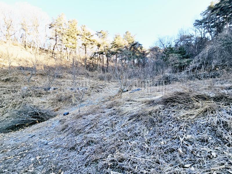 양평군 양서면 신원리 과수원자리 매매_18