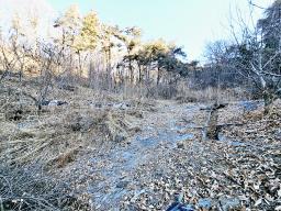 양평군 양서면 신원리 과수원자리 매매_썸네일_20