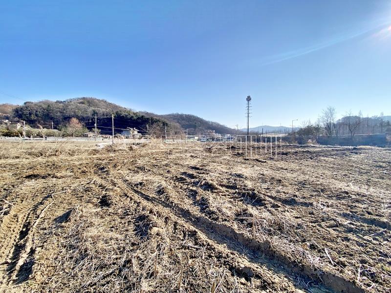 양평군옥천면 아신리 농림지 답_4