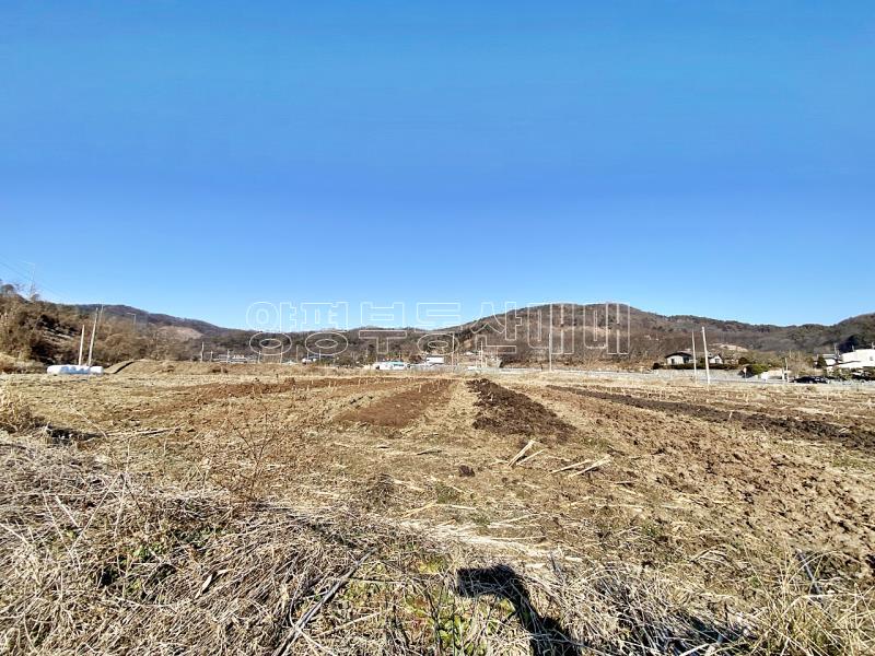 양평군옥천면 아신리 농림지 답_12