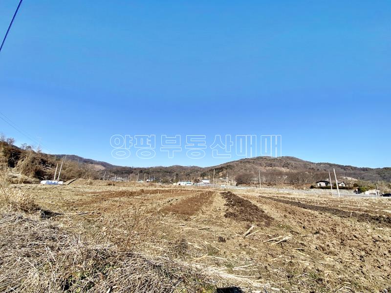 양평군옥천면 아신리 농림지 답_13