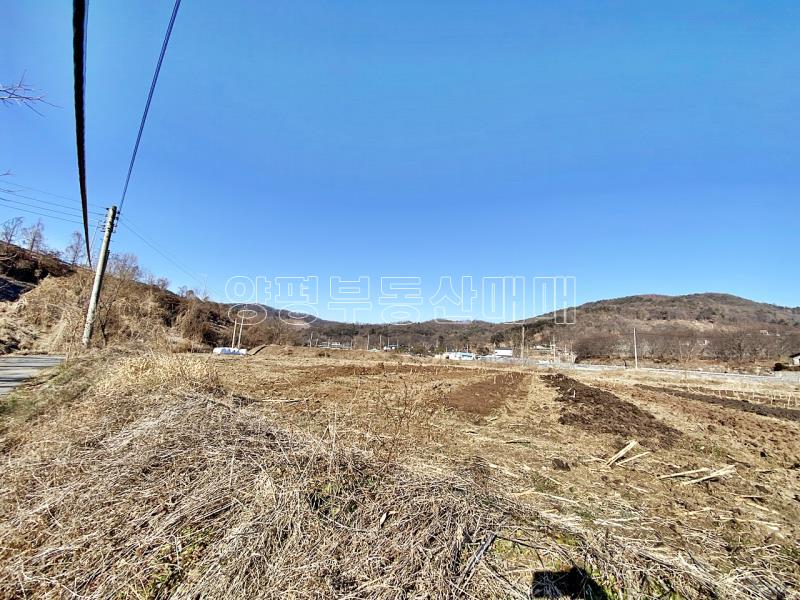 양평군옥천면 아신리 농림지 답_14