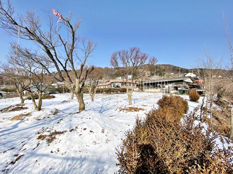 양평군 옥천면 아신리 평지의토지의 전망좋은토지_4