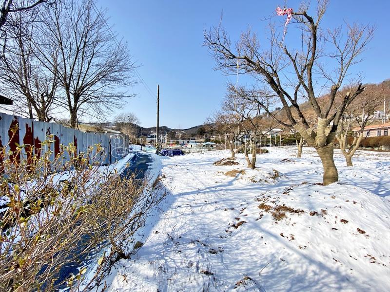 양평군 옥천면 아신리 평지의토지의 전망좋은토지_5