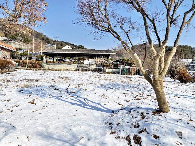 양평군 옥천면 아신리 평지의토지의 전망좋은토지_9