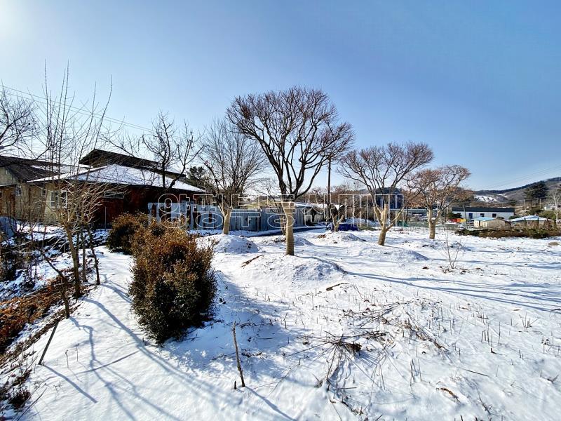 양평군 옥천면 아신리 평지의토지의 전망좋은토지_19