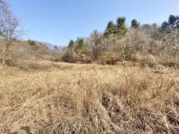 양평군 옥천면 신복리 전망좋은토지_썸네일_2