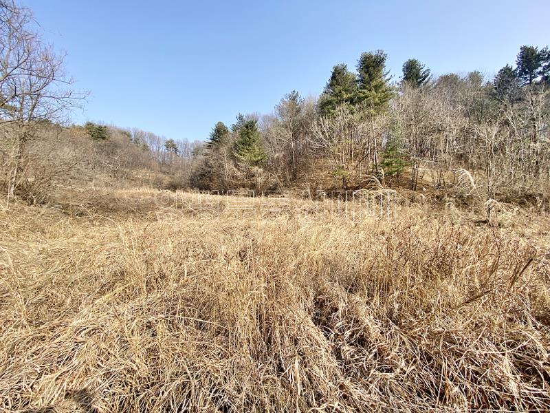 양평군 옥천면 신복리 전망좋은토지_2