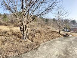 양평군 옥천면 신복리 전망좋은토지_썸네일_3