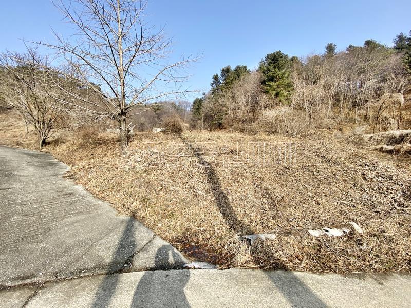 양평군 옥천면 신복리 전망좋은토지_4