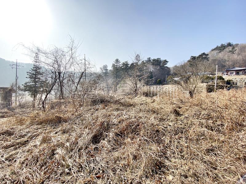 양평군 옥천면 신복리 전망좋은토지_6