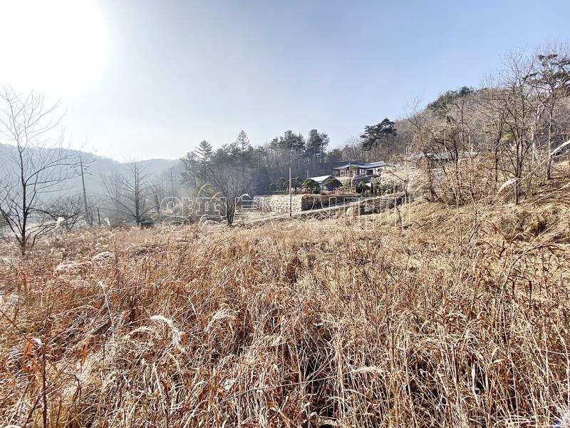 양평군 옥천면 신복리 전망좋은토지_8