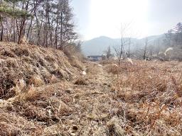 양평군 옥천면 신복리 전망좋은토지_썸네일_9