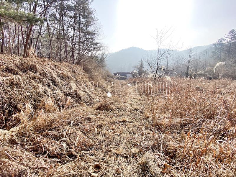 양평군 옥천면 신복리 전망좋은토지_9