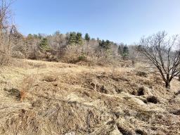 양평군 옥천면 신복리 전망좋은토지_썸네일_12