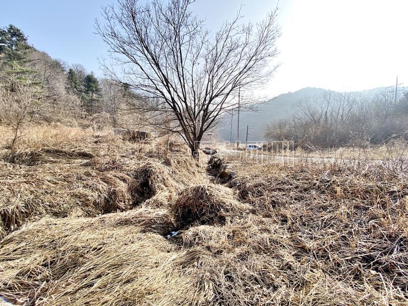 양평군 옥천면 신복리 전망좋은토지_13