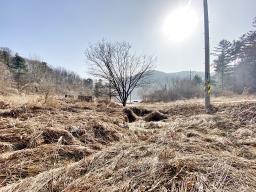 양평군 옥천면 신복리 전망좋은토지_썸네일_14
