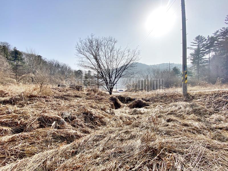 양평군 옥천면 신복리 전망좋은토지_14
