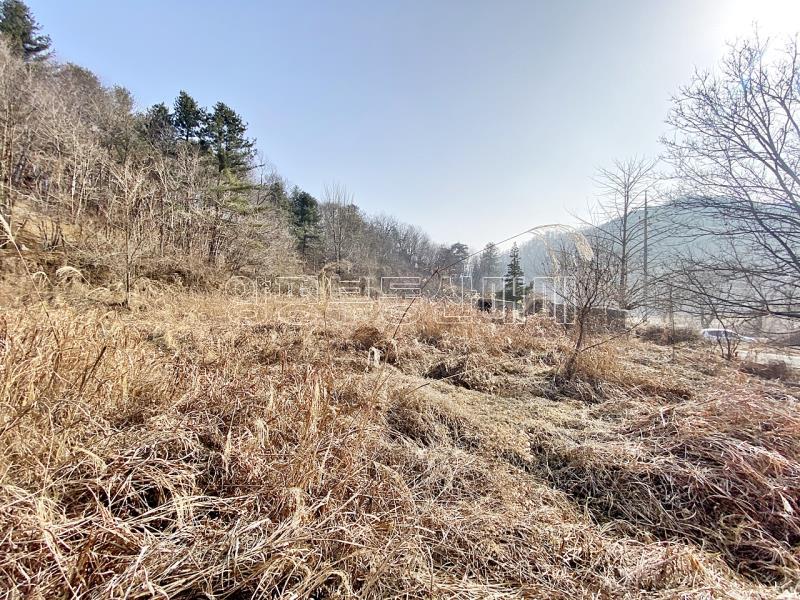 양평군 옥천면 신복리 전망좋은토지_18