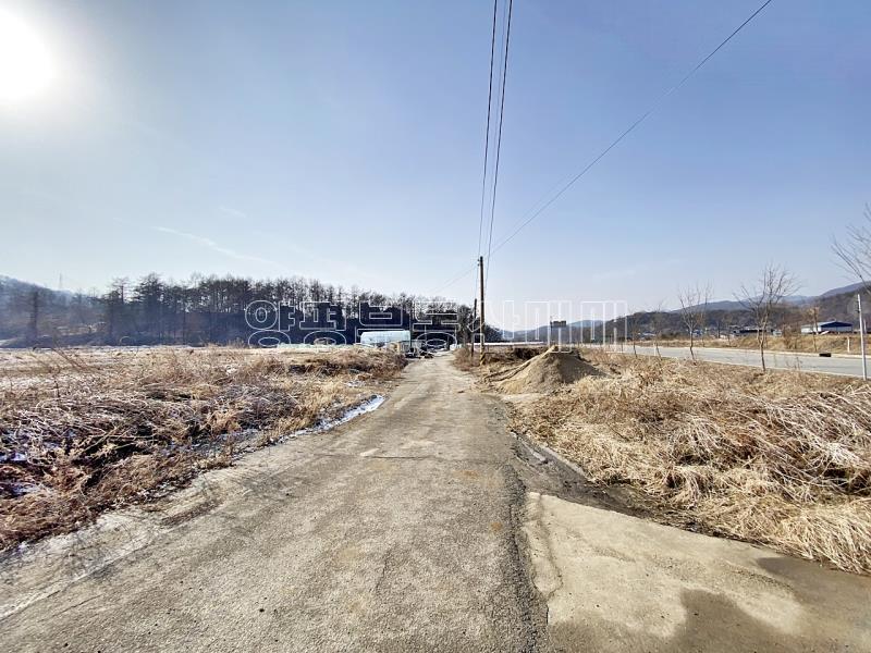 양평군 옥천면 옥천리 평지토지_5