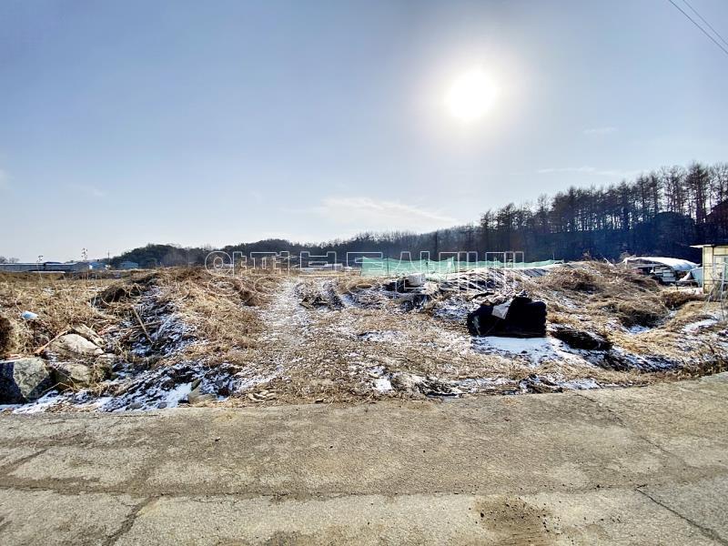 양평군 옥천면 옥천리 평지토지_6