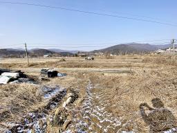 양평군 옥천면 옥천리 평지토지_썸네일_8