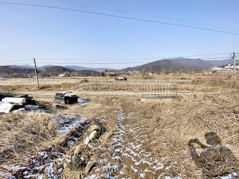 양평군 옥천면 옥천리 평지토지_8