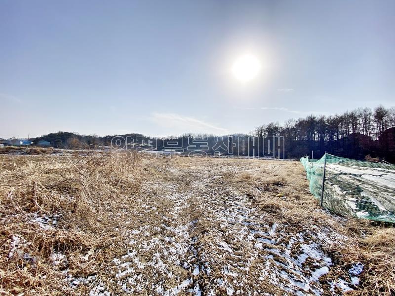 양평군 옥천면 옥천리 평지토지_9