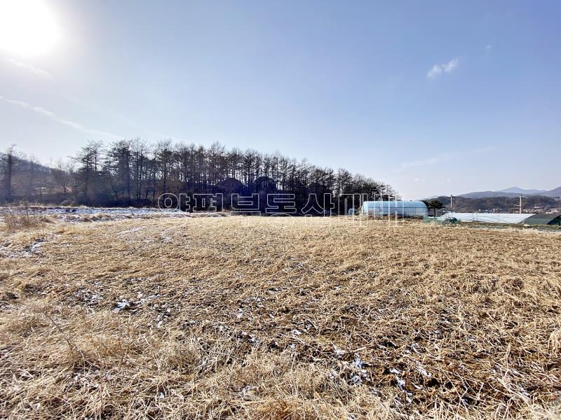 양평군 옥천면 옥천리 평지토지_10