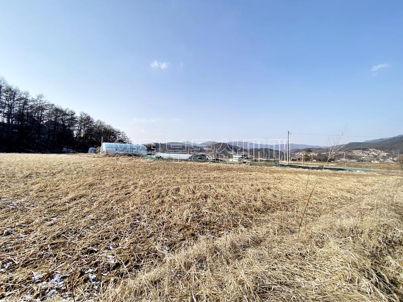 양평군 옥천면 옥천리 평지토지_11