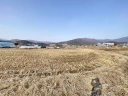 양평군 옥천면 옥천리 평지토지_썸네일_12