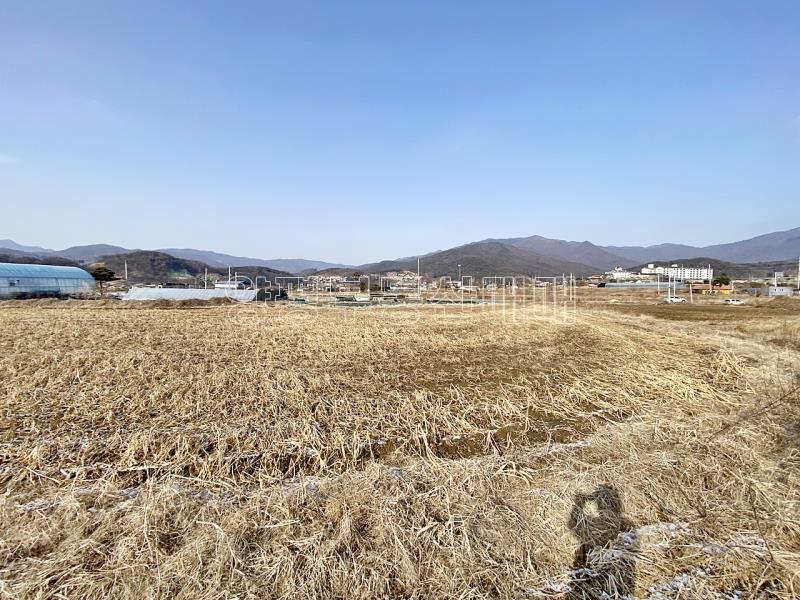 양평군 옥천면 옥천리 평지토지_12