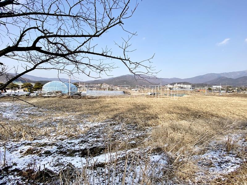 양평군 옥천면 옥천리 평지토지_13