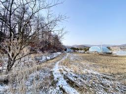 양평군 옥천면 옥천리 평지토지_썸네일_14