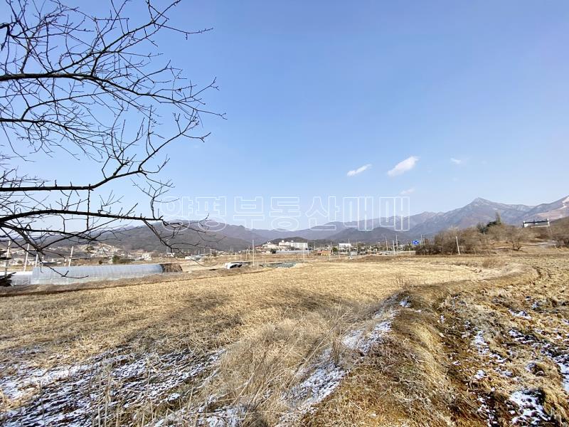 양평군 옥천면 옥천리 평지토지_15