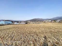 양평군 옥천면 옥천리 평지토지_썸네일_18