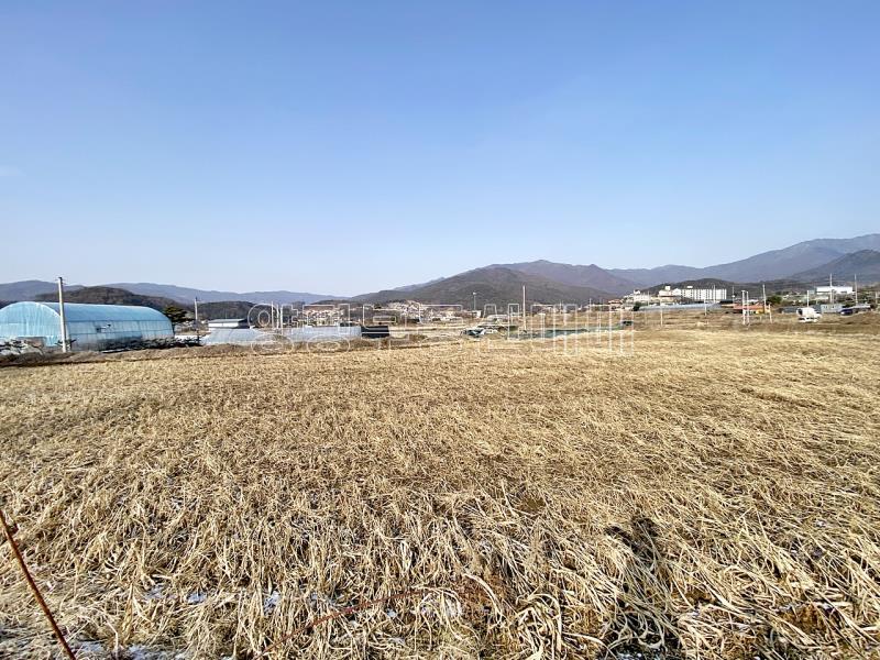 양평군 옥천면 옥천리 평지토지_18