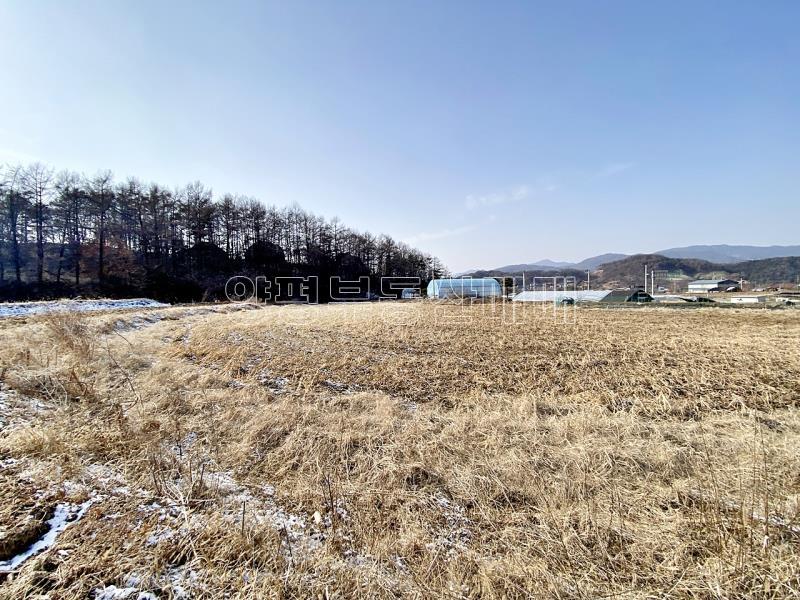 양평군 옥천면 옥천리 평지토지_20