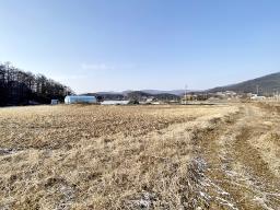 양평군 옥천면 옥천리 평지토지_썸네일_21