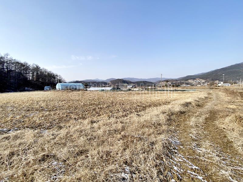 양평군 옥천면 옥천리 평지토지_21