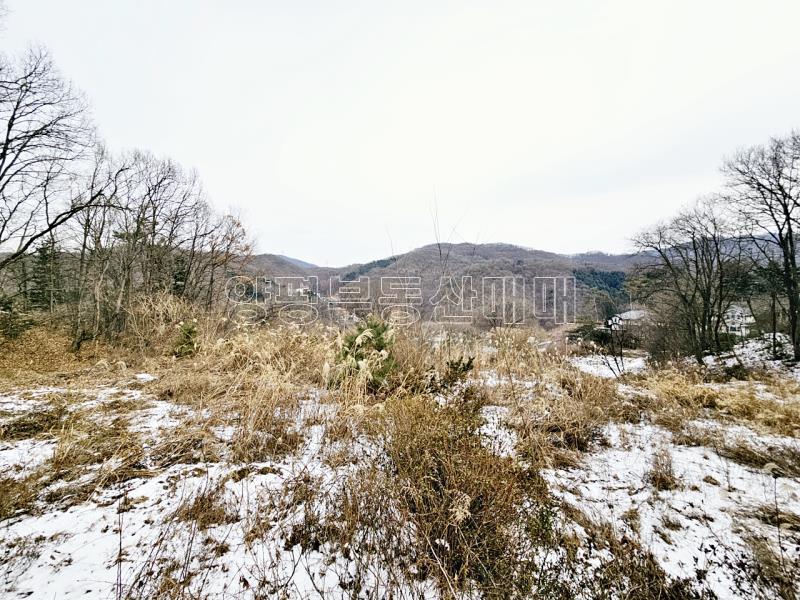 경기 광주시 퇴촌면 우산리 토목잘 되어있는 토지_1