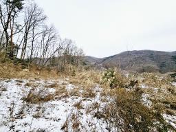 경기 광주시 퇴촌면 우산리 토목잘 되어있는 토지_썸네일_2