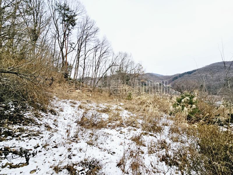 경기 광주시 퇴촌면 우산리 토목잘 되어있는 토지_3