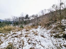 경기 광주시 퇴촌면 우산리 토목잘 되어있는 토지_썸네일_4