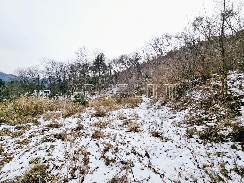 경기 광주시 퇴촌면 우산리 토목잘 되어있는 토지_4