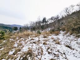 경기 광주시 퇴촌면 우산리 토목잘 되어있는 토지_썸네일_5