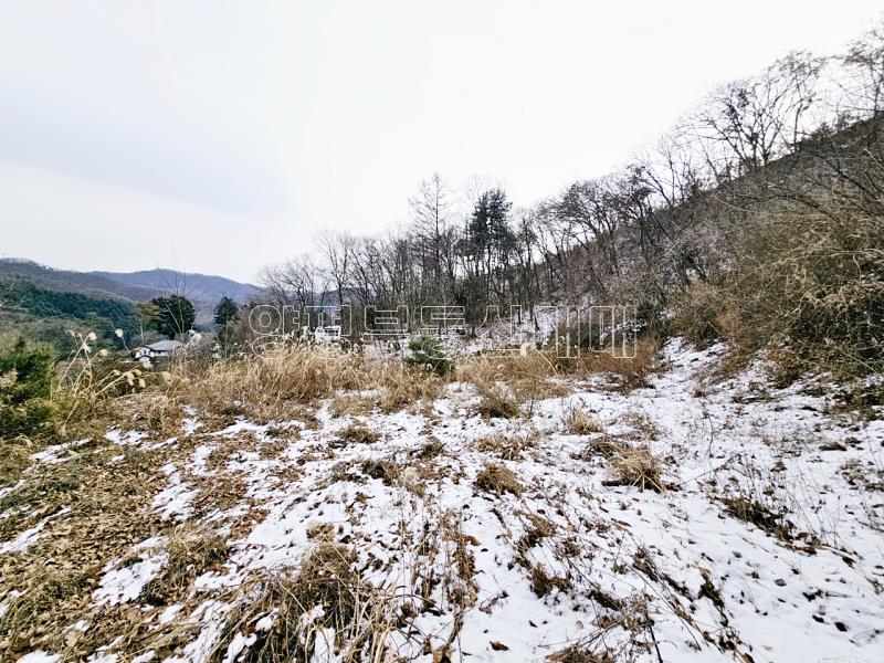 경기 광주시 퇴촌면 우산리 토목잘 되어있는 토지_5