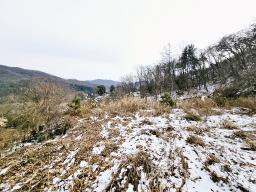 경기 광주시 퇴촌면 우산리 토목잘 되어있는 토지_썸네일_6