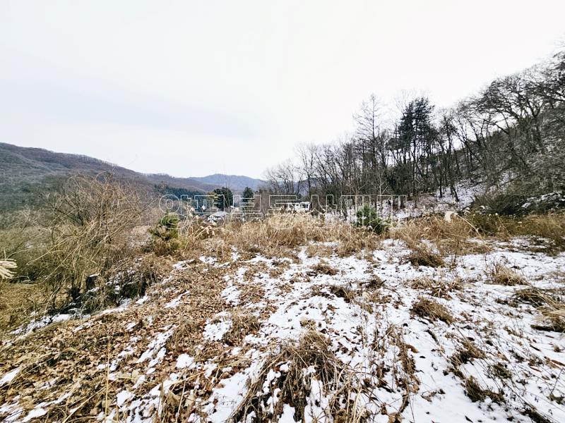 경기 광주시 퇴촌면 우산리 토목잘 되어있는 토지_6