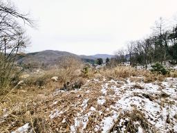 경기 광주시 퇴촌면 우산리 토목잘 되어있는 토지_썸네일_7